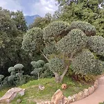 Chez Nat Et Jc 3* Eccica-Suarella (Corsica)
