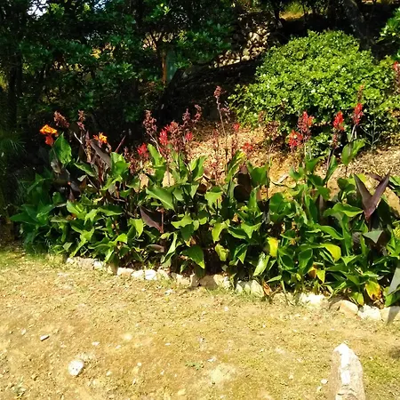 Chez Nat Et Jc Oda ve Kahvaltı