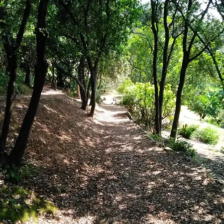 Chez Nat Et Jc Oda ve Kahvaltı 3*