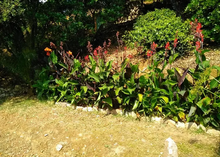 Chez Nat Et Jc Oda ve Kahvaltı