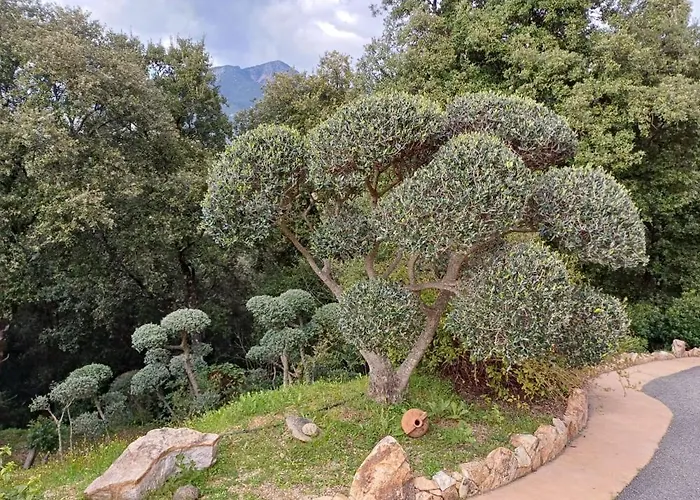 Chez Nat Et Jc 3* Eccica-Suarella (Corsica)