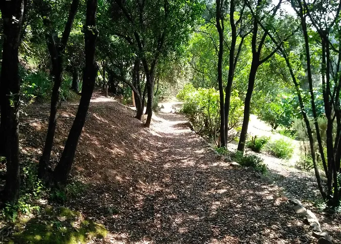 Chez Nat Et Jc Oda ve Kahvaltı 3*