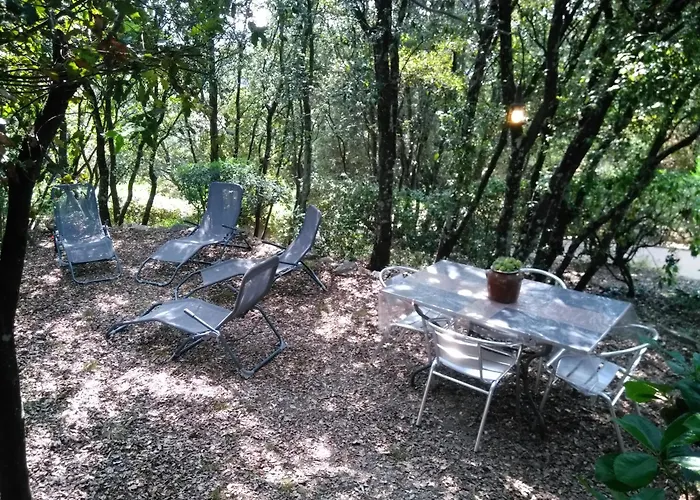 Chez Nat Et Jc Oda ve Kahvaltı Eccica-Suarella (Corsica)