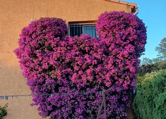 Oda ve Kahvaltı Chez Nat Et Jc