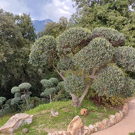 Chez Nat Et Jc * Eccica-Suarella (Corsica)