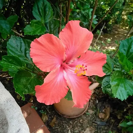 Chez Nat Et Jc Bed & Breakfast 3*