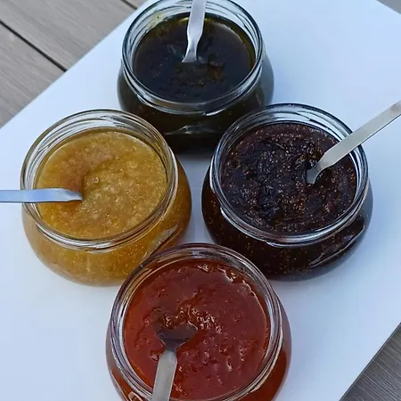 Chez Nat Et Jc 3* Eccica-Suarella (Corsica)