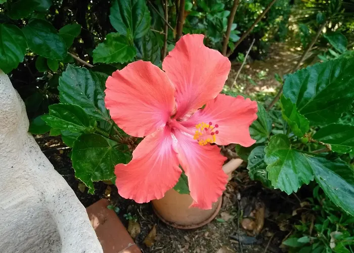 Chez Nat Et Jc Bed & Breakfast 3*