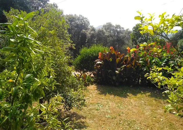 Chez Nat Et Jc 3* Eccica-Suarella (Corsica)